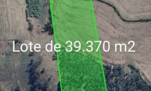 Zé Carlos Satélite