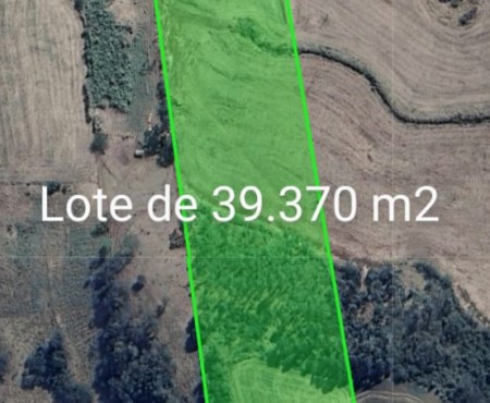 Zé Carlos Satélite