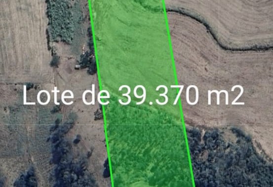 Zé Carlos Satélite